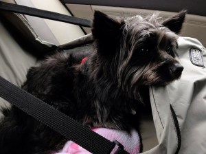 Kicking back in the carseat