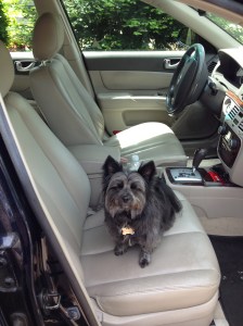 Not leaving without Fi