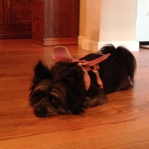 Halloween: Angry Tinkerbelle